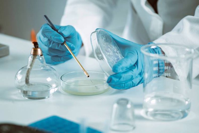 生物科技公司的创新之路：行业动态解读
