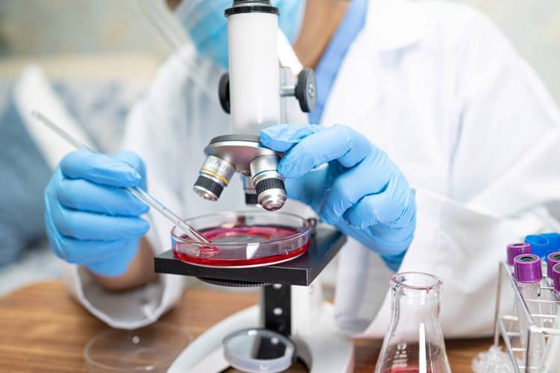 生物技术研发:推动未来医疗的科技力量