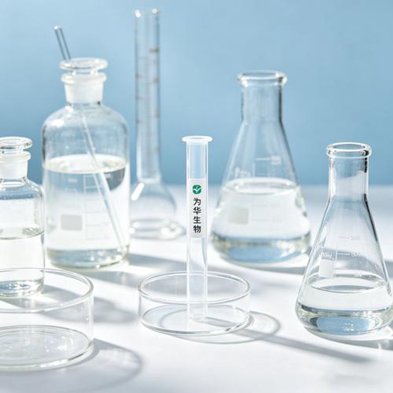 生物实验